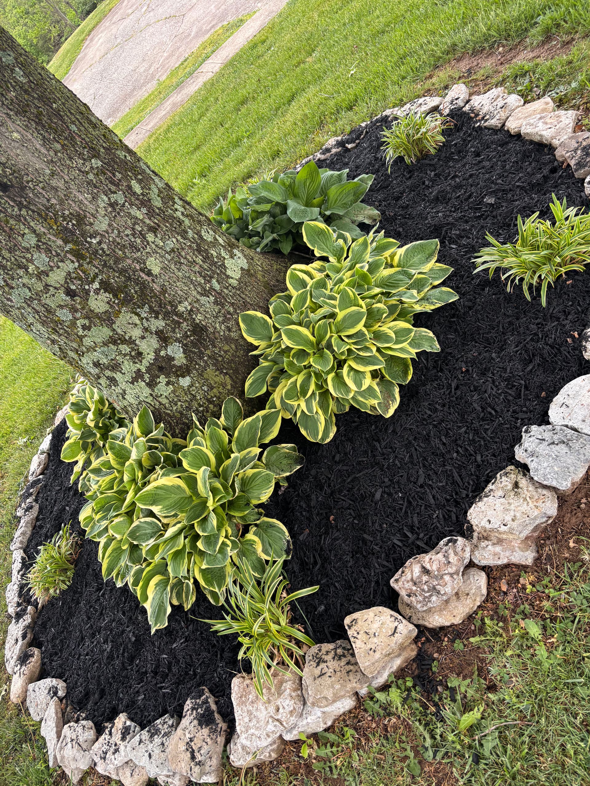 Flower Bed Rebuild With Fresh Mulch and Clean Edges