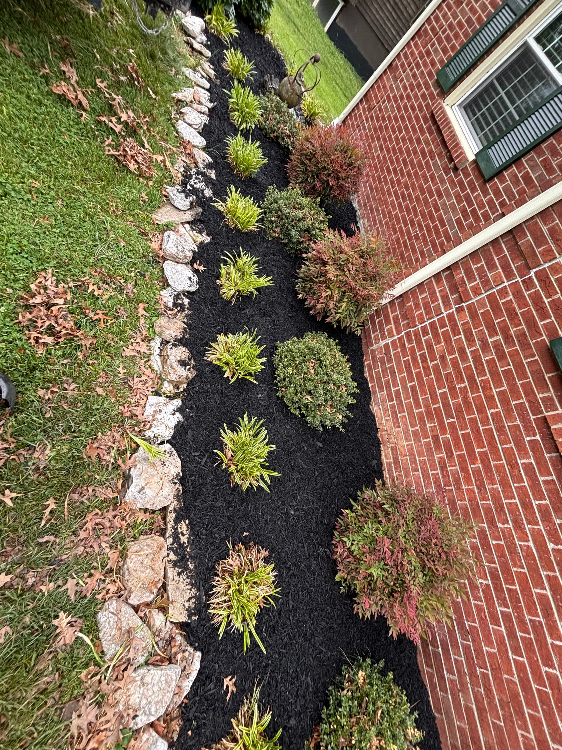 Flower Bed Rebuild With Fresh Mulch and Clean Edges