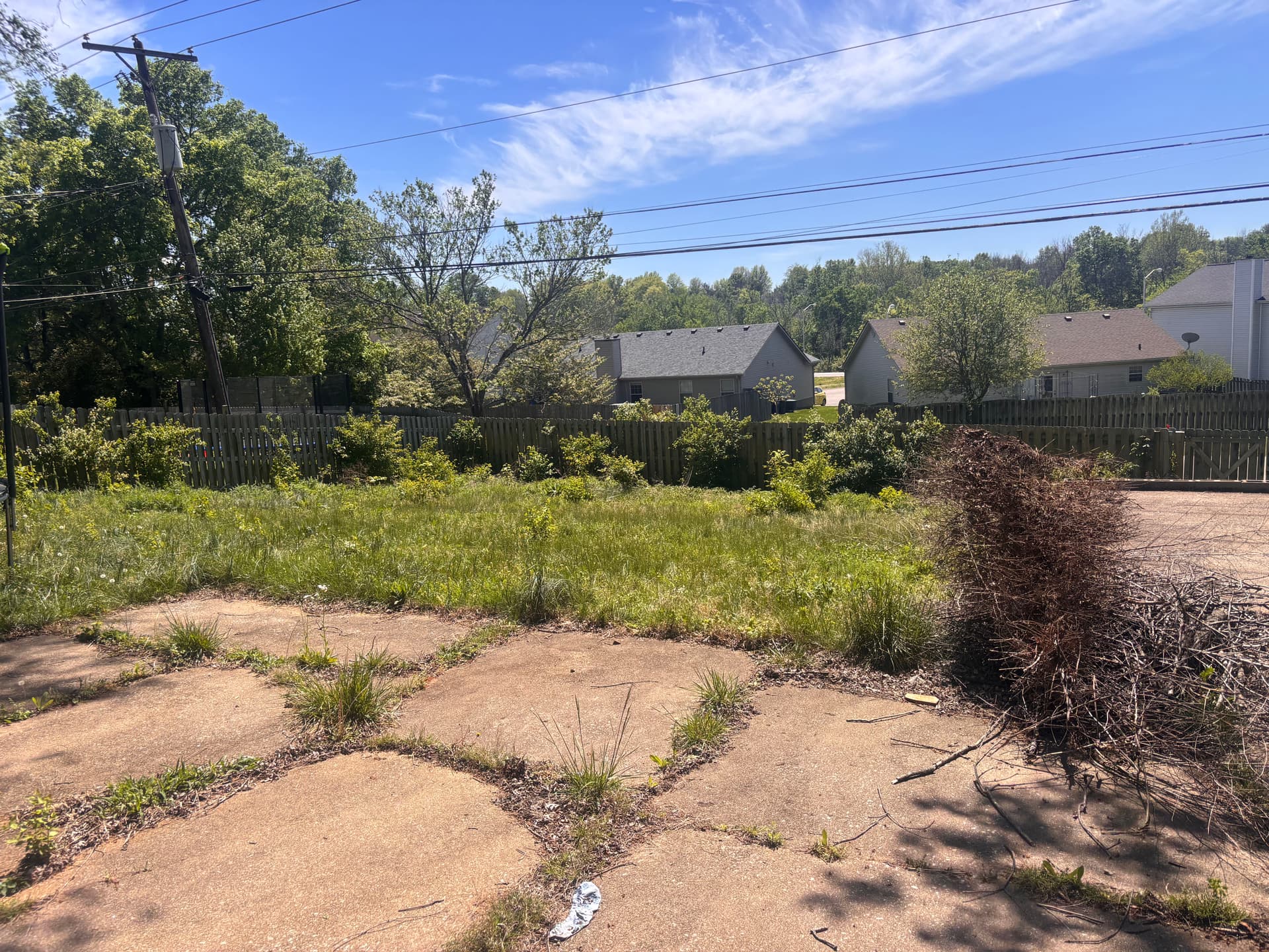 Overgrown Backyard Cleaned Up with Mowing and Brush Trimming