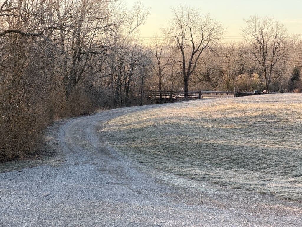 Project Fresh Gravel Driveway Refresh on a Winding Country Lane image